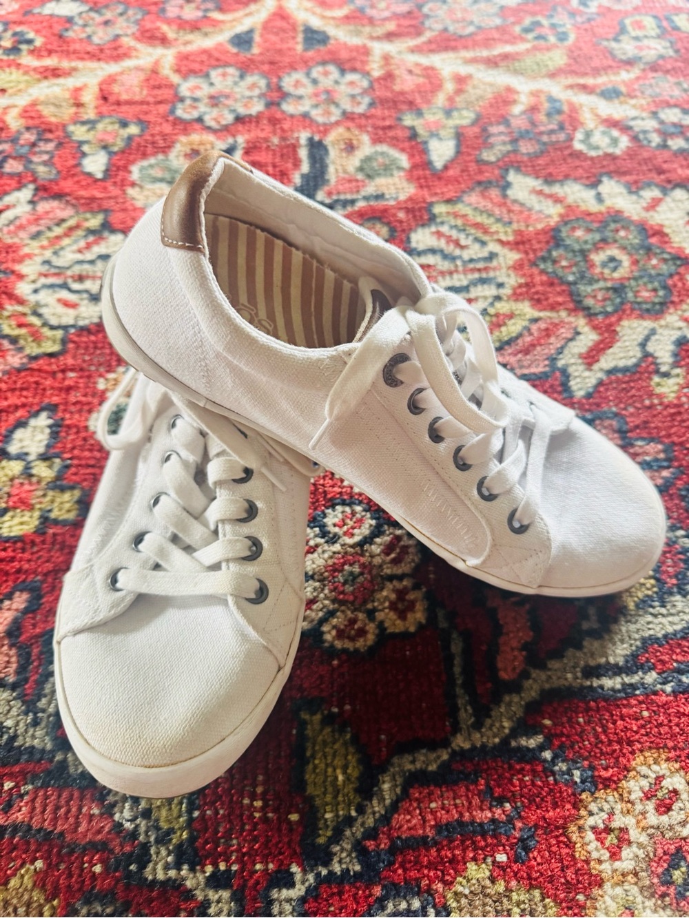 Taos Footwear White Canvas Sneakers with Tan Heel Accent
